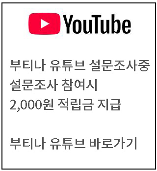 부티나 유튜브 설문조사